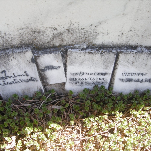 Detaliu de la mormântul scriitorului